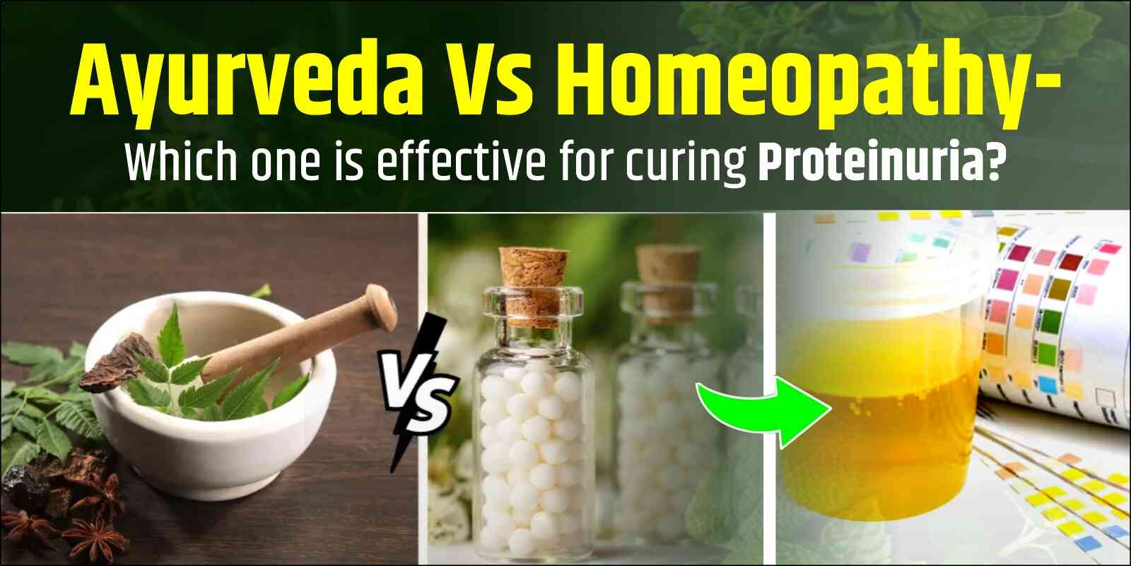 Ayurveda Vs Homeopathy- Which one is effective for curing Proteinuria?